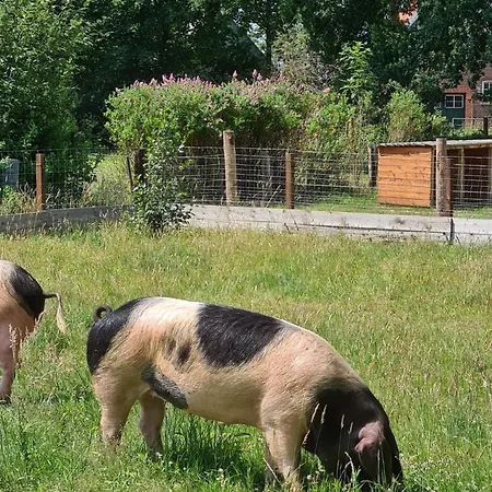 Naturhof Buschwiesen - Wilsum