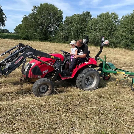 Naturhof Buschwiesen - Wilsum
