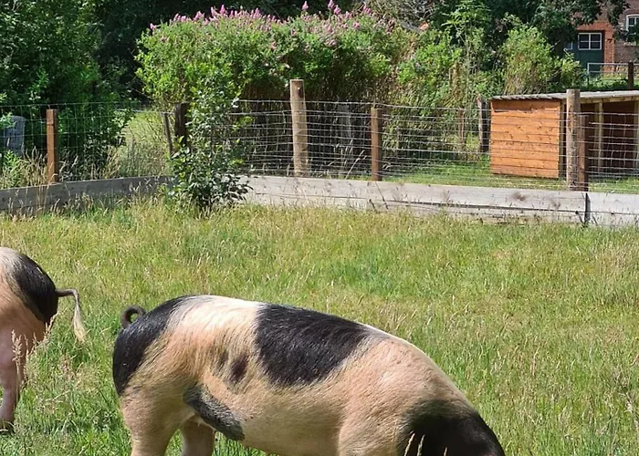 Naturhof Buschwiesen - Wilsum