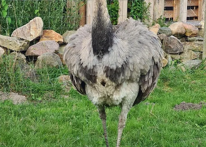 Apartament Naturhof Buschwiesen - *