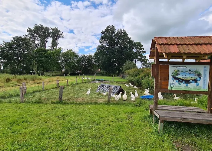 Naturhof Buschwiesen - Apartament Wilsum